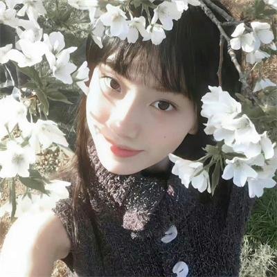 雌雄双谍